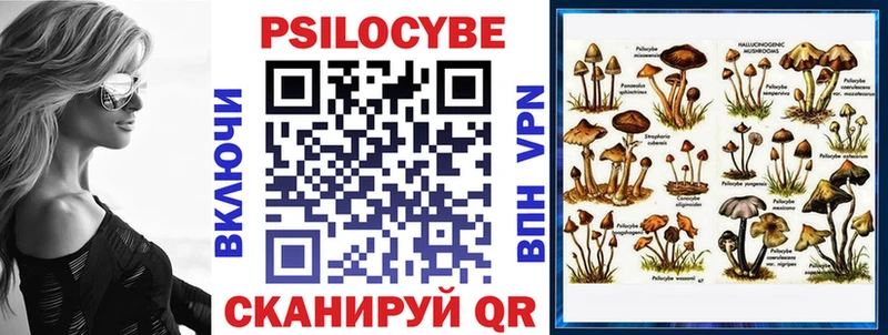 как найти   Ишим  Псилоцибиновые грибы Psilocybine cubensis 
