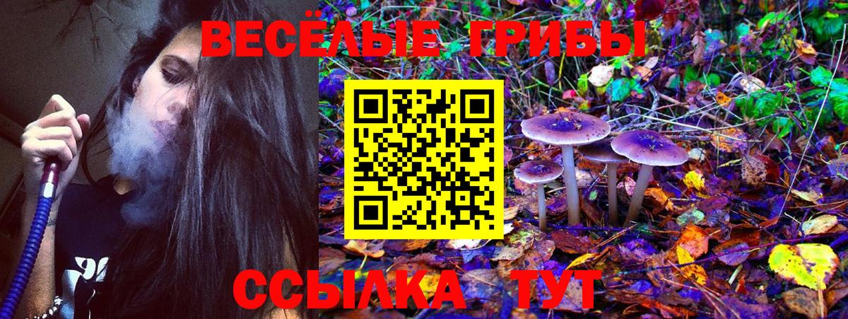 Галлюциногенные грибы MAGIC MUSHROOMS Ишим